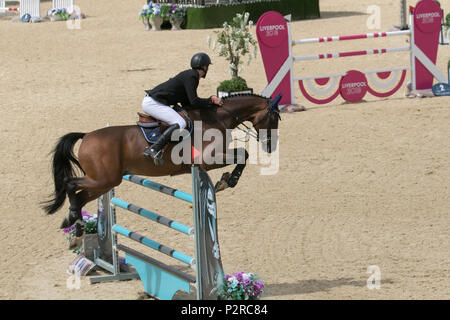 Bolesworth, Cheshire, UK. 16 Jun, 2018. Viggo Bjorklund, Vincero (Wettbewerb S14-CS12 Grand Prix) an der Schildknappe Bolesworth International Horse Show. Kredit MediaWorldImages/AlamyLiveNews. Stockfoto