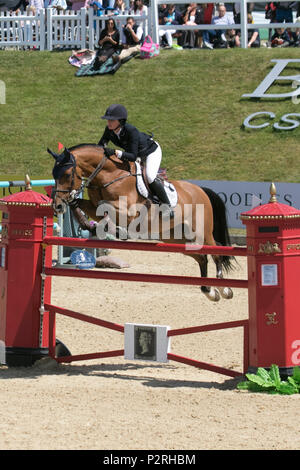 Bolesworth, Cheshire, UK. 16 Jun, 2018. (Wettbewerb S14-CS12 Grand Prix). Pferd, Zaun, Reitsport, Tiere, Sport, Wettbewerb, Springen, Pferde, Reiter, show, Hindernis, Hürde, Reiten, Event, Hengst, Meister, Springen, Jockey, Reiten, reiten, Reiter, Arena an der Schildknappe Bolesworth International Horse Show. Kredit MediaWorldImages/AlamyLiveNews. Stockfoto