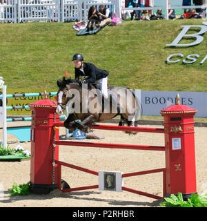 Bolesworth, Cheshire, Großbritannien. 16. Juni 2018. Show-Jumper Robert Murphy reitet Chablis (Wettbewerb S14-CS12 Grand Prix). Pferde, Zäune, Pferde, Tiere, Sport, Wettkampf, Sprung, Pferde, Reiter, Show, Hindernis, Hürde, Reiten, Ereignis, Hengst, Champion, Springen, Jockey, Reiten, Gleichberechtigung, Reiter bei der Bolesworth International Horse Show. Stockfoto