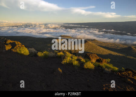 Pahoa, Hawaii, USA. 12 Juni, 2018. Mehrere der kleinen ruhenden Krater auf Mauna Kea über Sonnenuntergang mit den Wolken unter am Montag, Juni 12, 2018, auf Hawaii. Foto von Le Baskow/LeftEyeImages Credit: L.E. Baskow/ZUMA Draht/Alamy leben Nachrichten Stockfoto