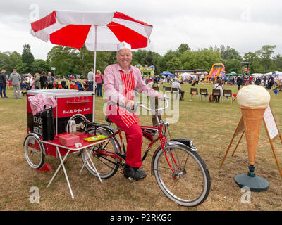 Warrington, Großbritannien, 16. Juni 2018 - Feiern nach der Krönung der Thelwall Rose Queen, Thelwall, in der Nähe von Warrington, Cheshire, England, UK Credit: John Hopkins/Alamy Live News Credit: John Hopkins/Alamy leben Nachrichten Stockfoto