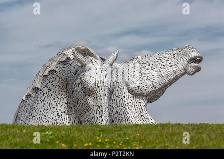 Falkirk, Schottland - Mai 19, 2018: Aufbau Digital, berühmten Skulpturen von Pferd Köpfe, Kunst im öffentlichen Raum von Andy Scott im Helix Park in der Nähe von Falkirk Stockfoto