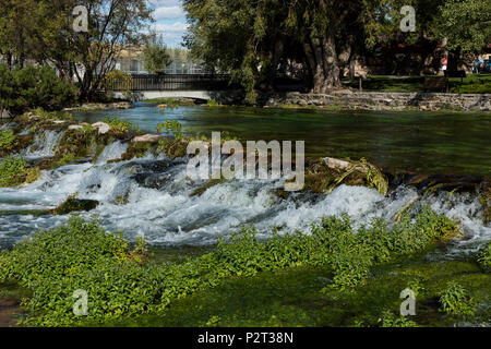 Roe River fließt vom Giant Springs. September 2016. Great Falls, Montana, USA Stockfoto