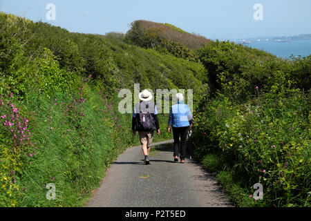 Ein älteres Paar Wanderer im Frühlingssonne entlang gehen Eine Hecke gesäumte Landstraße in das Dorf Dale Pembrokeshire Wales Großbritannien KATHY DEWITT Stockfoto