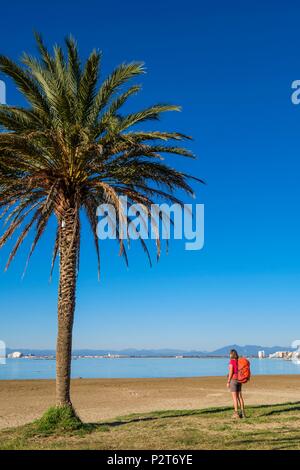 Spanien, Katalonien, wandern von Rosen zu Cadaques auf dem GR 92 und Europäischen Fernwanderweg E12, die Uferpromenade von Rosen, mit Palmen gesäumten searesort Stockfoto