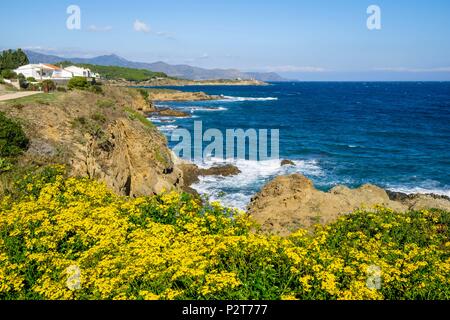 Spanien, Katalonien, wandern von Llança, Port de la Selva auf dem GR 92 und Europäischen Fernwanderweg E12, die Umgebung von El Port de la Selva, S'Arenella Pointe und Leuchtturm im Hintergrund Stockfoto