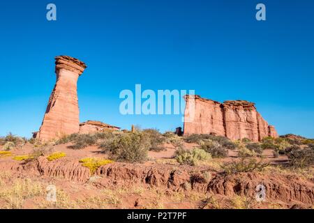 Argentinien, in der Provinz La Rioja, in der Nähe von Villa Union, Talampaya Nationalpark, Parque Nacional Talampaya als Weltkulturerbe von der UNESCO, La Torre Stockfoto