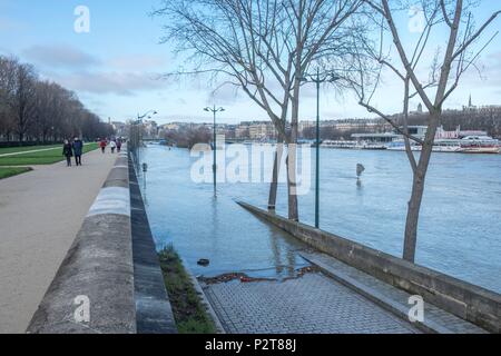 Frankreich, Paris, Bereich als Weltkulturerbe von der UNESCO, der Alma Bridge Stockfoto