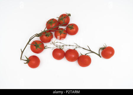 Ein Bündel von Tomaten auf einem weißen Tisch Stockfoto