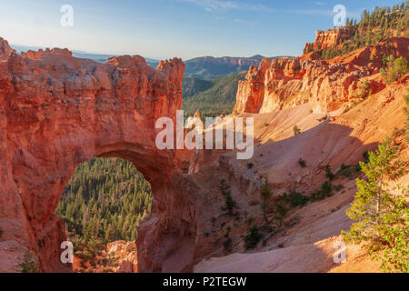 Natürliche Brücke Bildung im Bryce Canyon National Park in Utah, im frühen Morgenlicht. Stockfoto