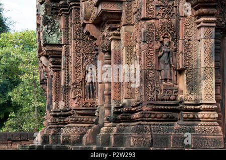 Angkor Kambodscha, kunstvollen Schnitzereien mit apsaras auf Wände im 10. Jahrhundert Banteay Srei Tempel Stockfoto