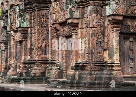 Angkor Kambodscha, kunstvollen Schnitzereien mit apsaras auf Wände im 10. Jahrhundert Banteay Srei Tempel Stockfoto