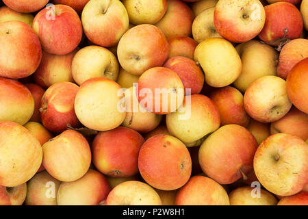 Stapel von Fuji Äpfel zum Verkauf auf dem Markt Stockfoto