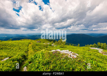 Weg entlang der grasigen Hang auf einem Berg. schönen Sommer Landschaft. wunderbarer Ort zum Wandern und Camping. bewölkter Himmel über dem Bergrücken Stockfoto