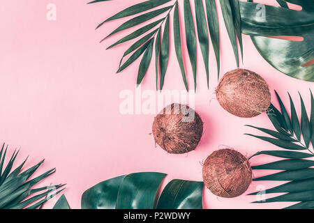 Kokosnüsse auf einem hellen Hintergrund, Ansicht von oben. Stockfoto