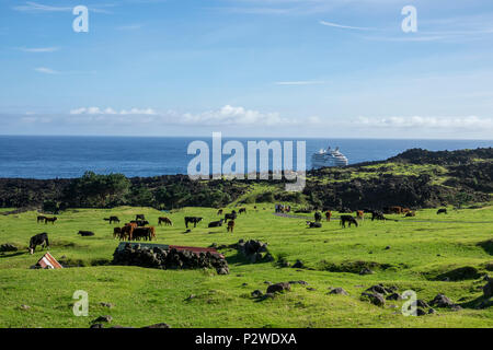 Tristan da Cunha, Britisches Überseegebiete, South Atlantic Ocean Stockfoto