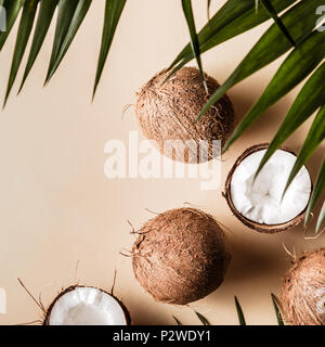 Kokosnüsse auf einem hellen Hintergrund, Ansicht von oben. Stockfoto