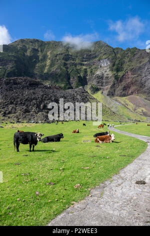 Tristan da Cunha, Britisches Überseegebiete, South Atlantic Ocean Stockfoto