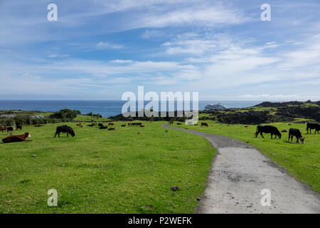 Tristan da Cunha, Britisches Überseegebiete, South Atlantic Ocean Stockfoto