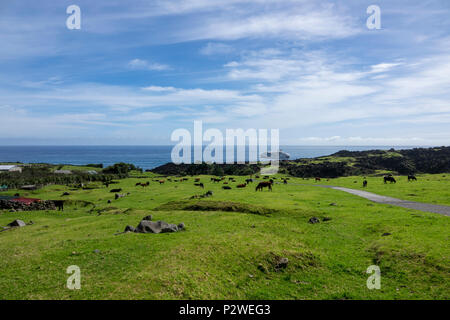 Tristan da Cunha, Britisches Überseegebiete, South Atlantic Ocean Stockfoto