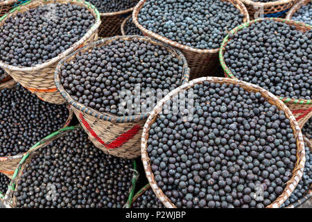 Stroh Korb voller Frische acai Beeren auf einer Messe in der Stadt Belem, Brasilien zu verkaufen. Stockfoto