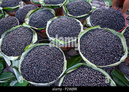 Stroh Korb voller Frische acai Beeren auf einer Messe in der Stadt Belem, Brasilien zu verkaufen. Stockfoto