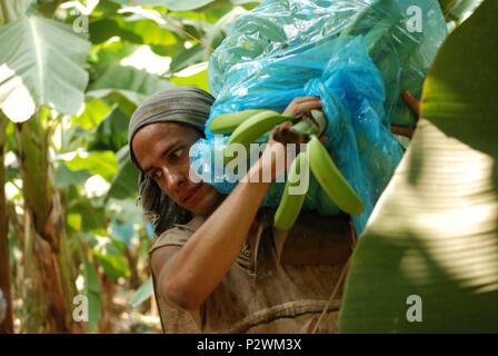 Original Film Titel: RUDO Y CURSI. Englischer Titel: RUDO Y CURSI. Regisseur: CARLOS CUARON. Jahr: 2008. Stars: Gael Garcia Bernal. Quelle: SONY PICTURES CLASSICS/Album Stockfoto