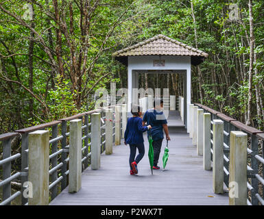 Langkawi, Malaysia - 1. Mai 2018. Wanderweg durch die dicken natürlichen Mangroven Dschungel über unsere 800 Meter lange Board Walk in Langkawi, Malaysia. Stockfoto