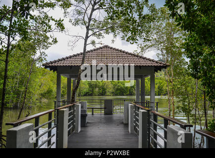 Langkawi, Malaysia - 1. Mai 2018. Wanderweg durch die dicken natürlichen Mangroven Dschungel über unsere 800 Meter lange Board Walk in Langkawi, Malaysia. Stockfoto