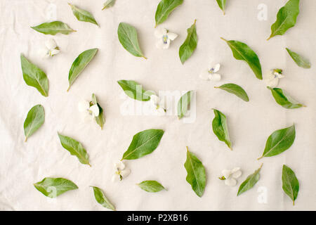 Blumen Komposition. Muster aus grünen Blättern und Blumen auf weißem Gewebe Hintergrund. Flach, Ansicht von oben. Stockfoto