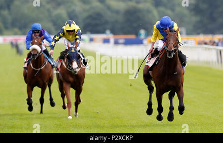 Marmelo geritten von Ryan Moore gewinnt den Himmel Wette Grand Tasse während der Macmillan Nächstenliebe Raceday an der Rennbahn von York. Stockfoto