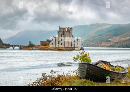 Blumen wachsen in einem verlassenen Boot am Ufer des Loch Duich. Eilean Donan Castle kann im Hintergrund gesehen werden. Herbst im Hochland von Sco Stockfoto