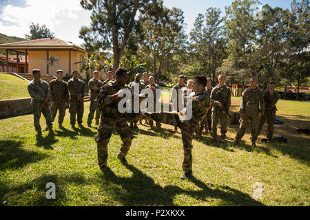 Sergt. Hlemu Jean und Cpl. Sylvain Nerlet, Fallschirmjäger mit französischen Streitkräfte Neukaledonien 3. Marine Infanterie Regiment, demonstrieren Nahkampftechniken während der Übung AmeriCal 16 am Lager Broche, Neukaledonien, August 8, 2016. AmeriCal ist ein bilaterales Training konzipiert, Interoperabilität, gegenseitige Bekämpfung Fähigkeiten zu verbessern und die Beziehungen mit unseren Partnern zu verbessern. (U.S. Marine Corps Foto von Cpl. Carlos Cruz jr./Freigegeben) Stockfoto