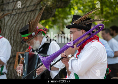 Charlbury Morris Dancers bei Daylesford Organic Farm Sommer Festival. Daylesford, Cotswolds, Gloucestershire, England. Stockfoto