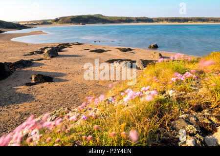 Llanddwyn Island in der Nähe von Whitby an der südwestlichen Ecke der Insel Anglesey, Wales, Großbritannien Stockfoto