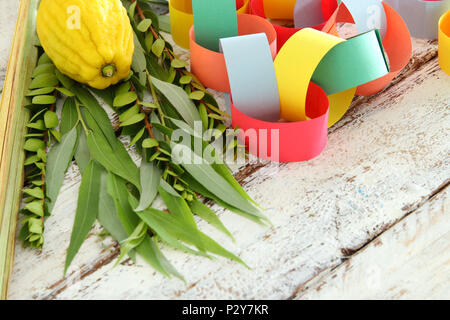 Jüdische Festival von Sukkot. Traditionelle Symbole (die vier Arten): Etrog, lulav, hadas, Arava Stockfoto