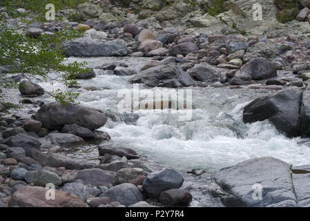 Nahaufnahme von einem glitzernden Fluss in den Bergen Stockfoto
