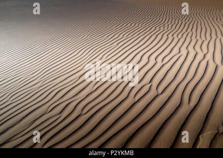 Lange Wind geformte Wellen mit Schatten definierte Kanten in den Dünen von Hidden Vlei, Sossusvlie Namibia Stockfoto