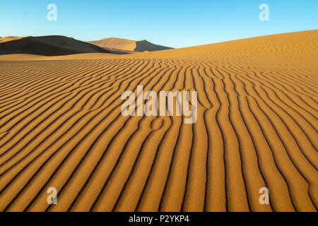 Lange Wind geformte Wellen mit Schatten definierte Kanten in den Dünen von Hidden Vlei, Sossusvlie Namibia Stockfoto