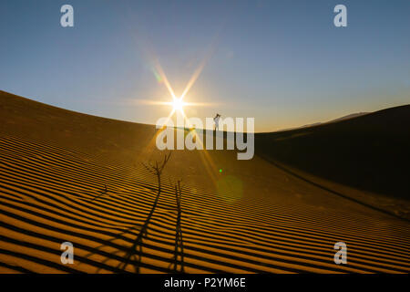 Einsame silhouette Figur der Fotograf auf Grat über Wind, Wellen und Schatten definierte Kanten in den Dünen von Hidden Vlei bei Sonnenaufgang Sossusvlie Namib Stockfoto