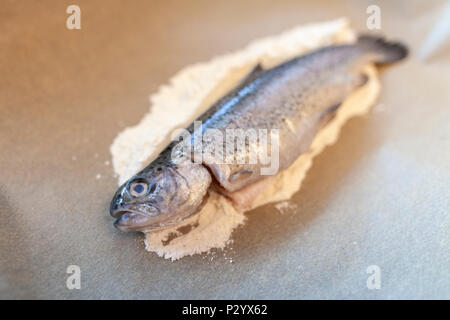 Frischer Fisch liegt auf einem backpapier in einer Küche Stockfoto