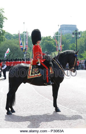 Die jährliche die Farbe in London zu Ehren von Königin Elizabeth's Geburtstag übernommen hat. Tausende säumten die Straßen ihrer Majestät begrüßen zu ein Stockfoto