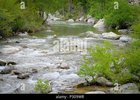 Nahaufnahme von einem wilden Fluss in den Bergen Stockfoto