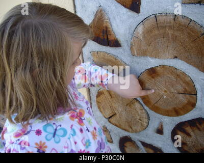 Ein kleines Mädchen zählt Ringe auf baumscheiben. Stockfoto