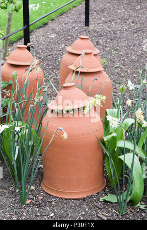 Vier Ton terracotta Töpfe im Garten Grenze zwingt, mit Pflanzen hochdrücken, Topfdeckel, Pflanzen rund um Töpfe Stockfoto