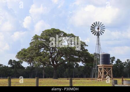 Ländliche Landschaft in Texas, Vereinigte Staaten von Amerika. Eiche und Windmühle auf Ackerland, texanische Ranch, Lone Star State. Stockfoto Ländliche Landschaft in Texas, Vereinigte Staaten von Amerika. Eiche und Windmühle auf Ackerland, texanische Ranch, Lone Star State. Stockfoto