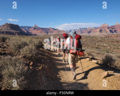 Backpackers auf der Tonto Trail zwischen indischen Garten und Horn Creek im Grand Canyon National Park, Arizona. Stockfoto