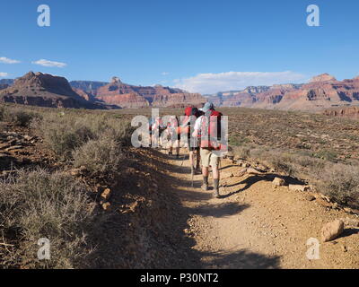 Backpackers auf der Tonto Trail zwischen indischen Garten und Horn Creek im Grand Canyon National Park, Arizona. Stockfoto