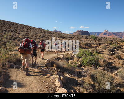 Backpackers auf der Tonto Trail zwischen indischen Garten und Horn Creek im Grand Canyon National Park, Arizona. Stockfoto