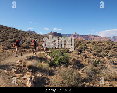 Backpackers auf der Tonto Trail zwischen indischen Garten und Horn Creek im Grand Canyon National Park, Arizona. Stockfoto